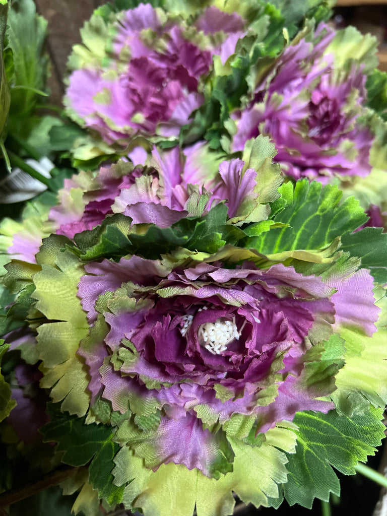 chinese cabbage succulent Chinese cabbage floral stems – Star Hollow Candle Company